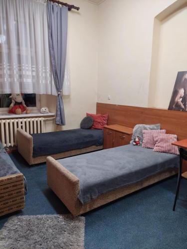 zswolborz.pl zscku w wolborzu internat 09