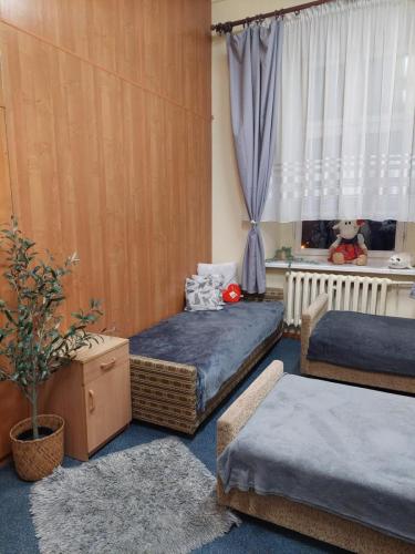 zswolborz.pl zscku w wolborzu internat 10