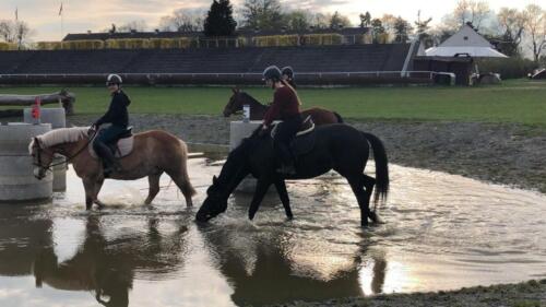 zswolborz.pl zscku w wolborzu snkwalifikacje 0-13