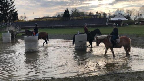 zswolborz.pl zscku w wolborzu snkwalifikacje 0-14