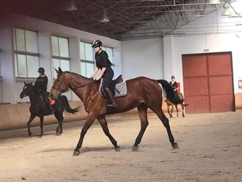 zswolborz.pl zscku w wolborzu snkwalifikacje 0-17