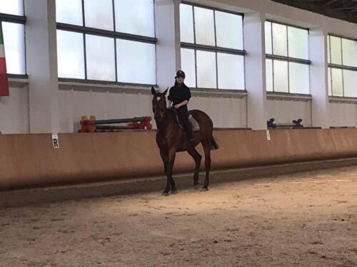 zswolborz.pl zscku w wolborzu snkwalifikacje 0-18