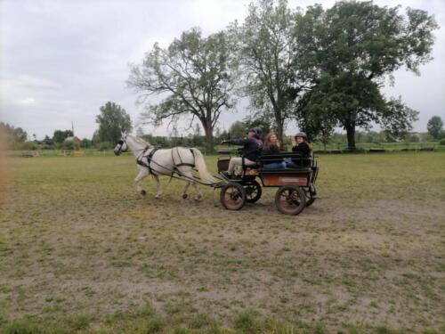 zswolborz.pl zscku w wolborzu snkwalifikacje 0-19