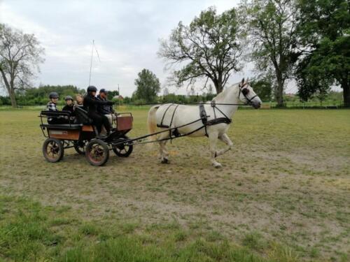 zswolborz.pl zscku w wolborzu snkwalifikacje 0-21