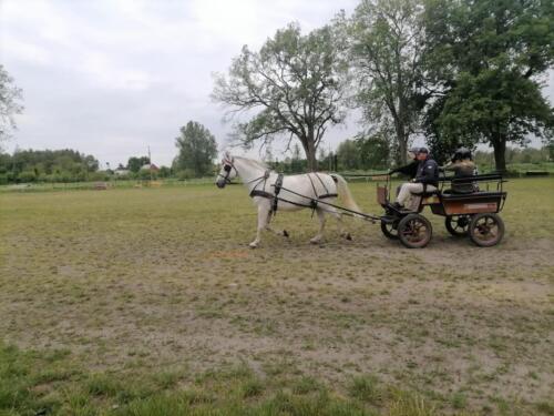 zswolborz.pl zscku w wolborzu snkwalifikacje 0-22