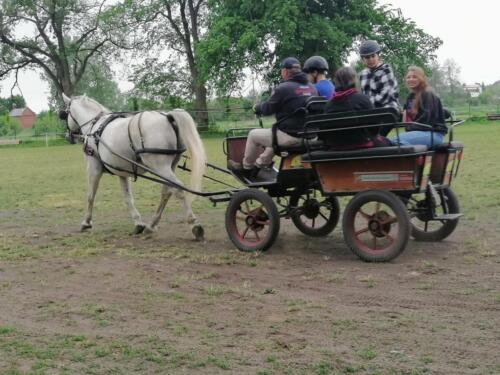 zswolborz.pl zscku w wolborzu snkwalifikacje 0-8