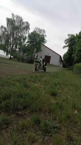 zswolborz.pl zscku w wolborzu snkwalifikacje 0-9